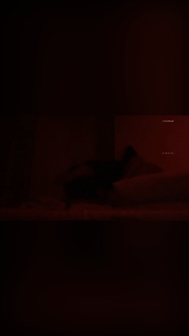 So So Pretty Baddie Gf 16