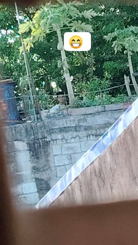 Sa Ilalim Pa Ng Papaya