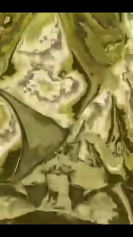 Matcha Lover Couple 5