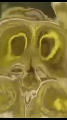 Matcha Lover Couple 8