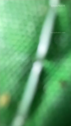 Sarap Na Sarap Sa Doggy Si Gf